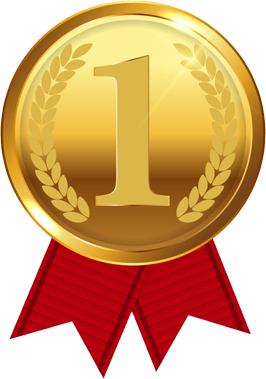 1st Place